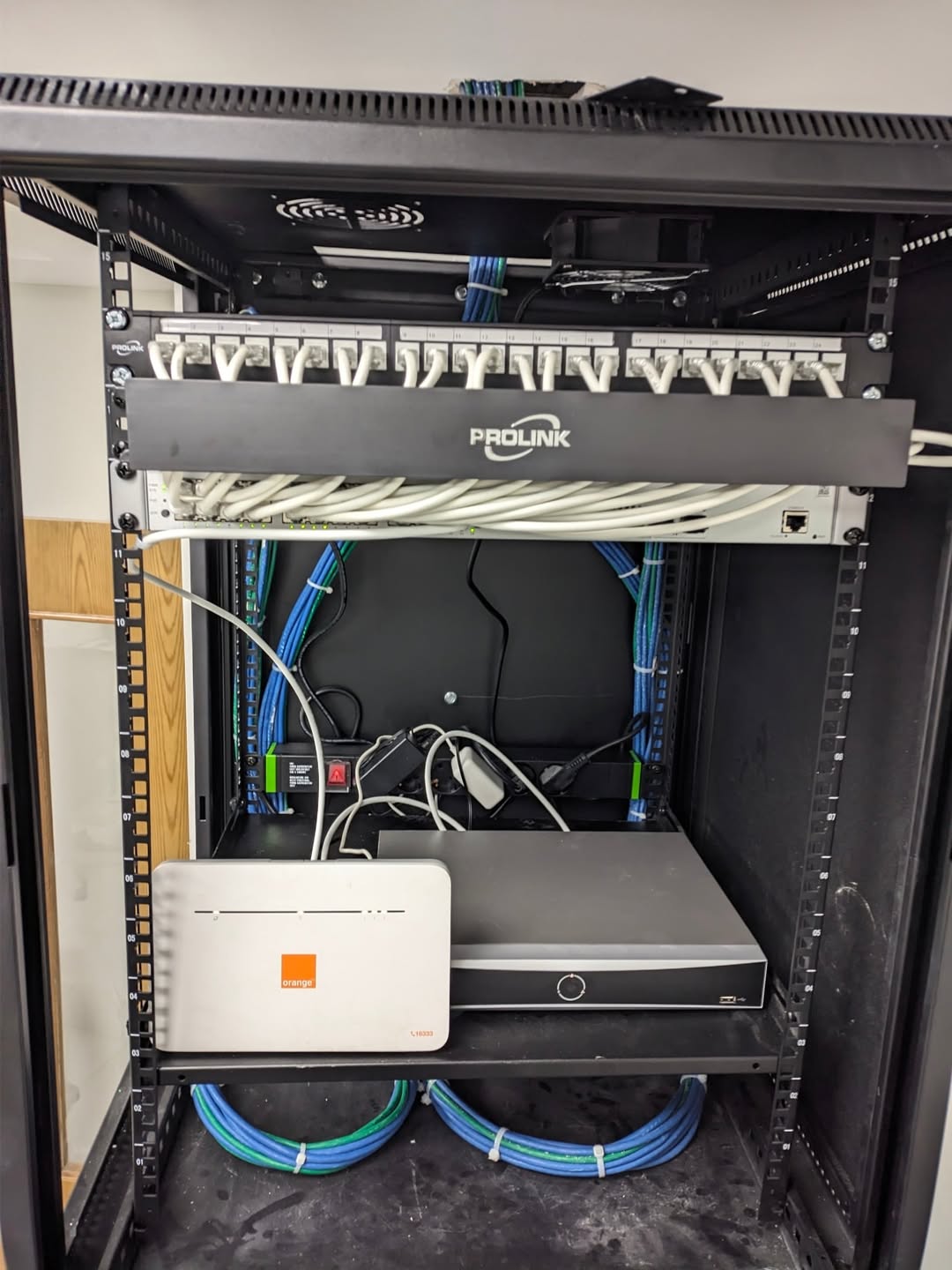 WhatsApp Image 2026-01-31 at 1.51.10 PM